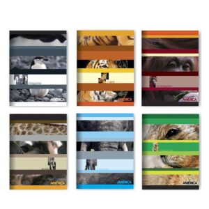 CUADERNO AMERICA T. FLEX. X 24 HJS. CUADRICULADO
