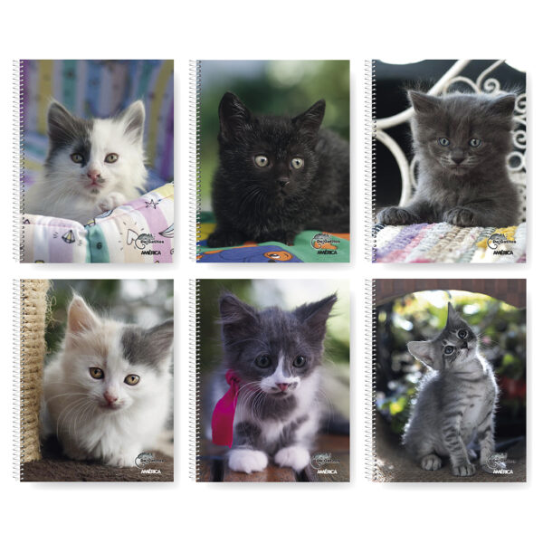 CUADERNO AMERICA GATITOS 29/7 X 80 HJS. RAYADO